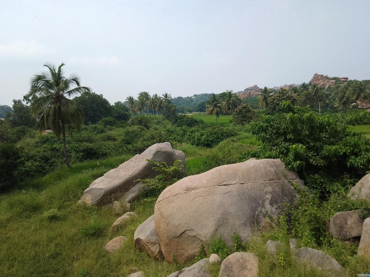 Monkey Paradise Hampi Хампи Экстерьер фото